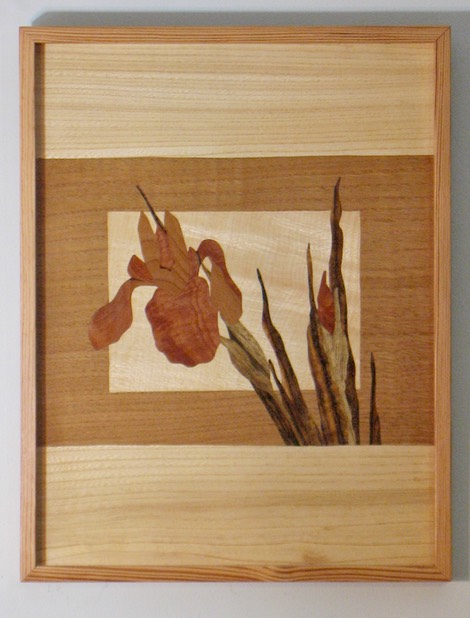 iris